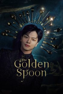دانلود زیرنویس سریال The Golden Spoon 2022 (قاشق طلایی)