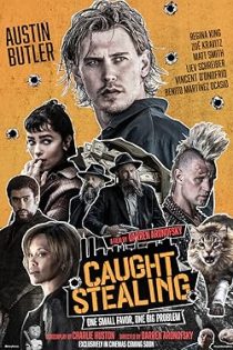 دانلود زیرنویس فیلم Caught Stealing 2025