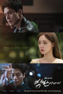 دانلود زیرنویس سریال The Nice Guy 2025 (مرد خوب)